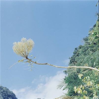 部落英雄勇士归来手游