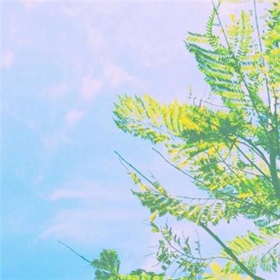 大话逍遥手游下载
