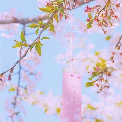 蒸好玩免费下载